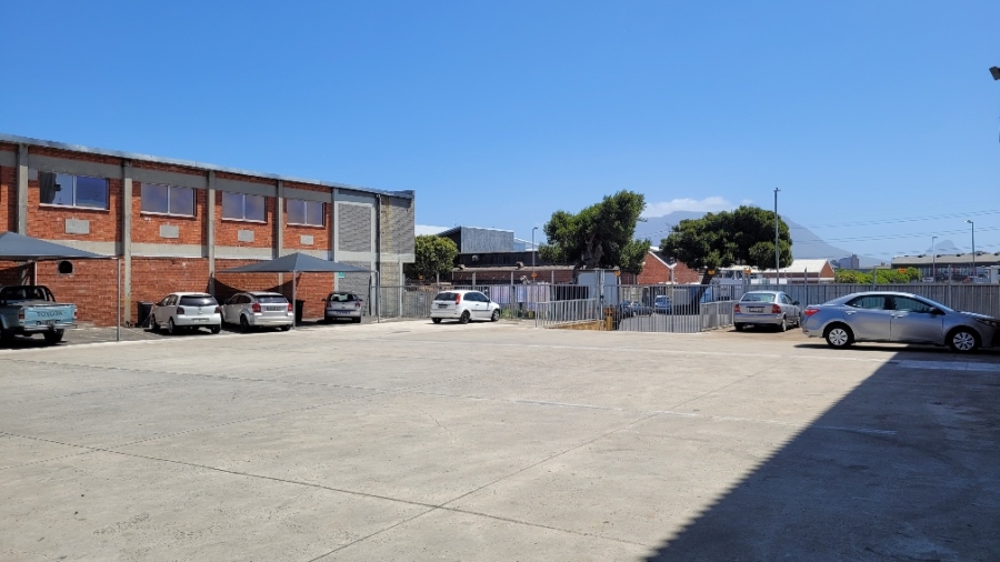 To Let commercial Property for Rent in Epping Industrial Western Cape